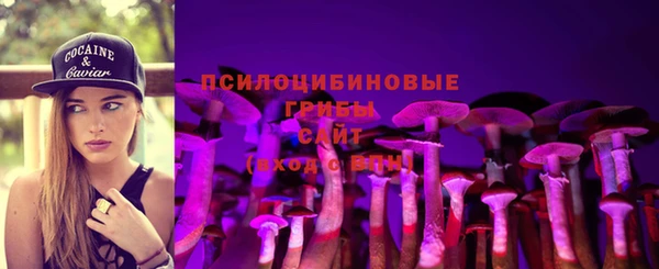 твердый Абинск