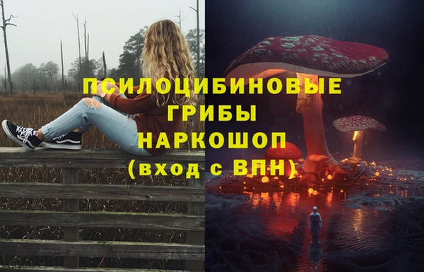 дживик Покачи