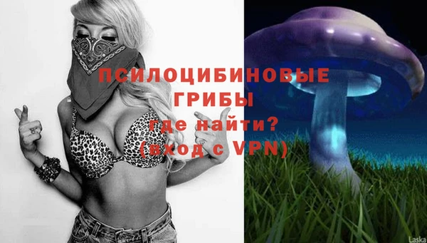 твердый Абинск