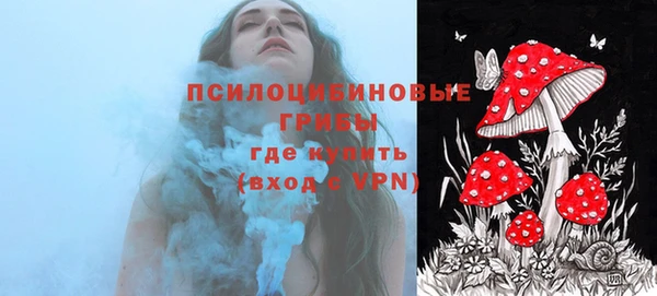 прущая мука Абаза
