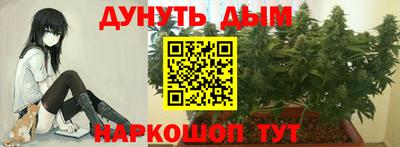 прущие грибы Бугуруслан