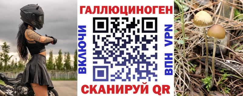 Галлюциногенные грибы GOLDEN TEACHER  Дербент 